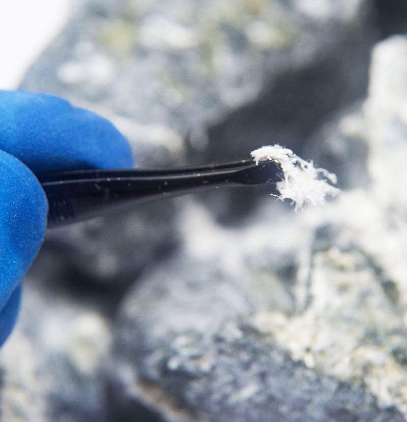 Asbestos Survey Services