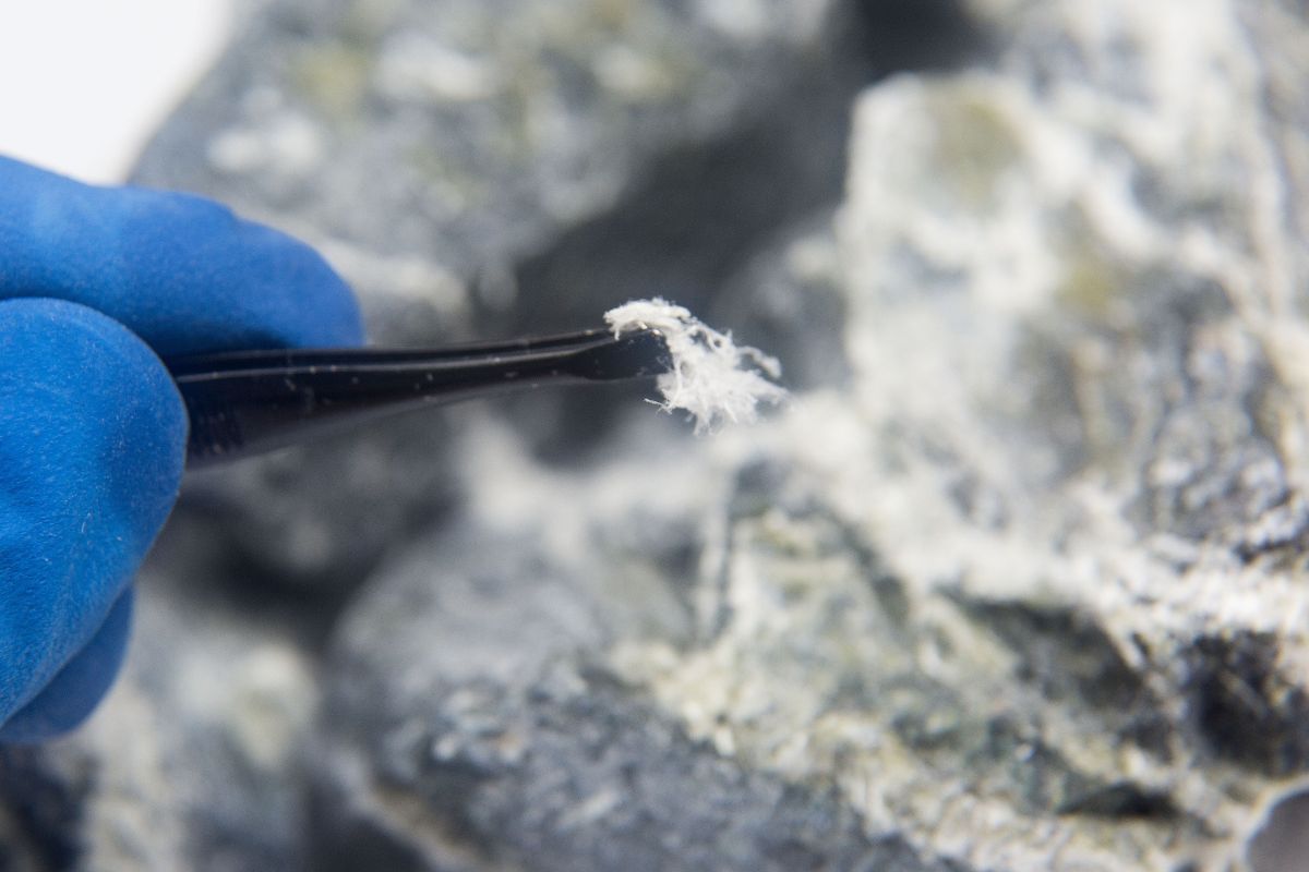Asbestos Removal Services Chatswood