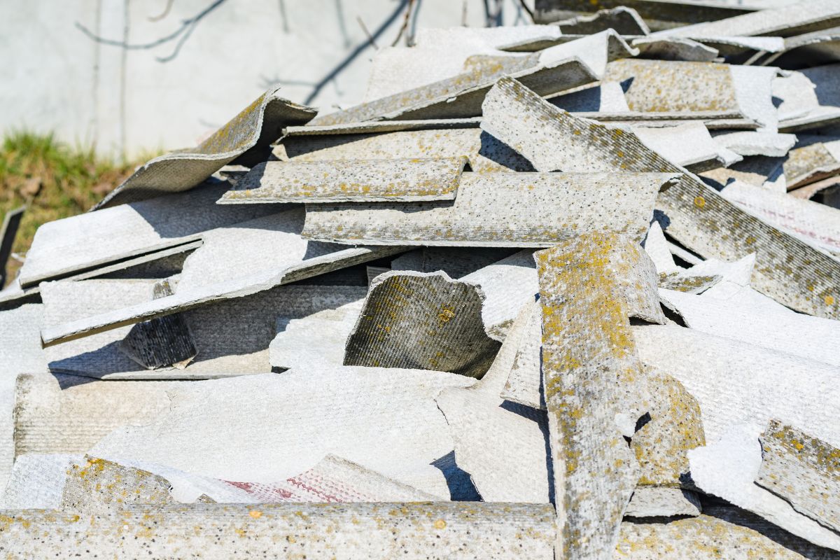 Our Step-by-Step Removal Process